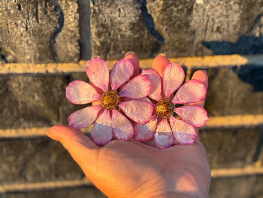 Cosmo Stud Earrings 🌿🌸