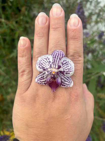 Anillo de Orquídea
