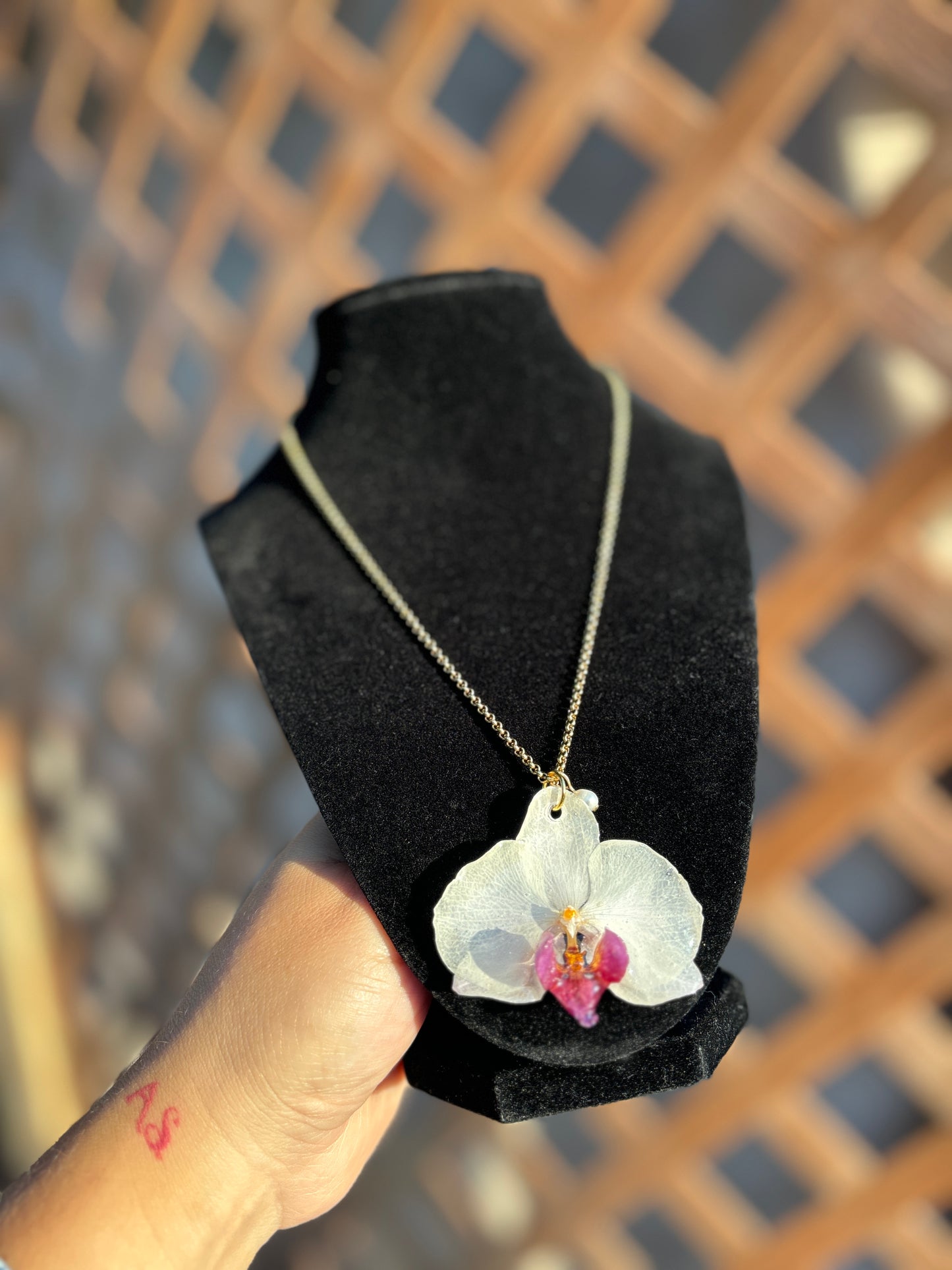 Orquídea blanca y violeta