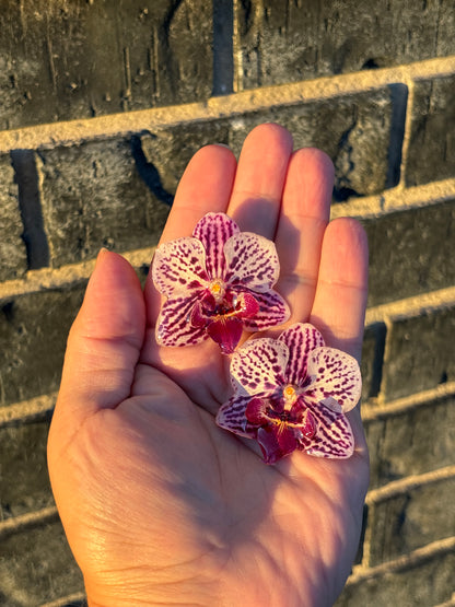 Mini Orchid Stud Earrings 🌷🌱✨