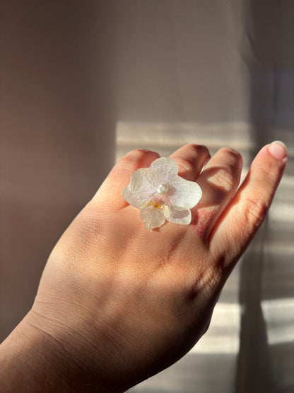 White Mini Orchid ✨