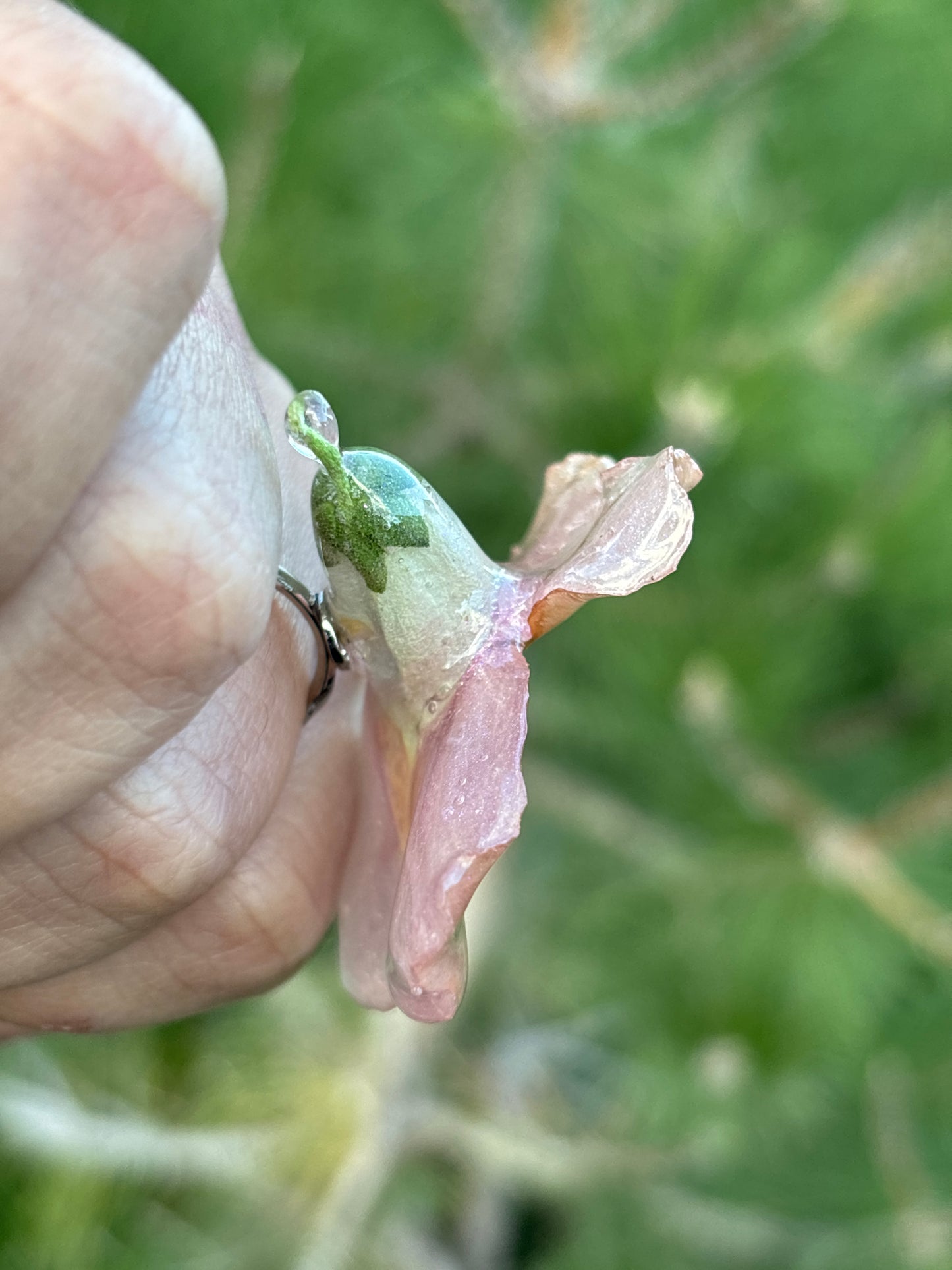 Snapdragon Ring with Pearl 🦪✨