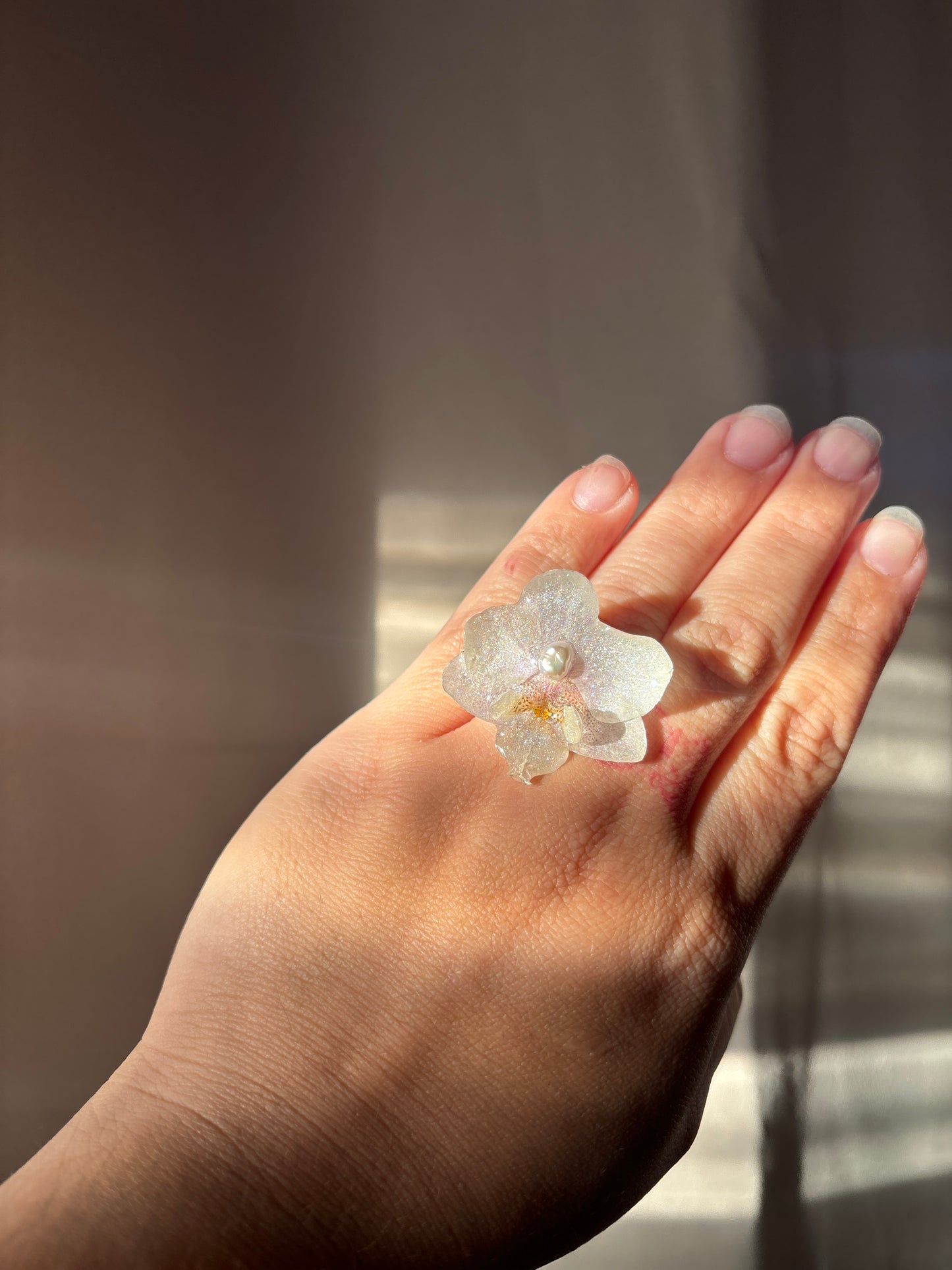 White Mini Orchid ✨