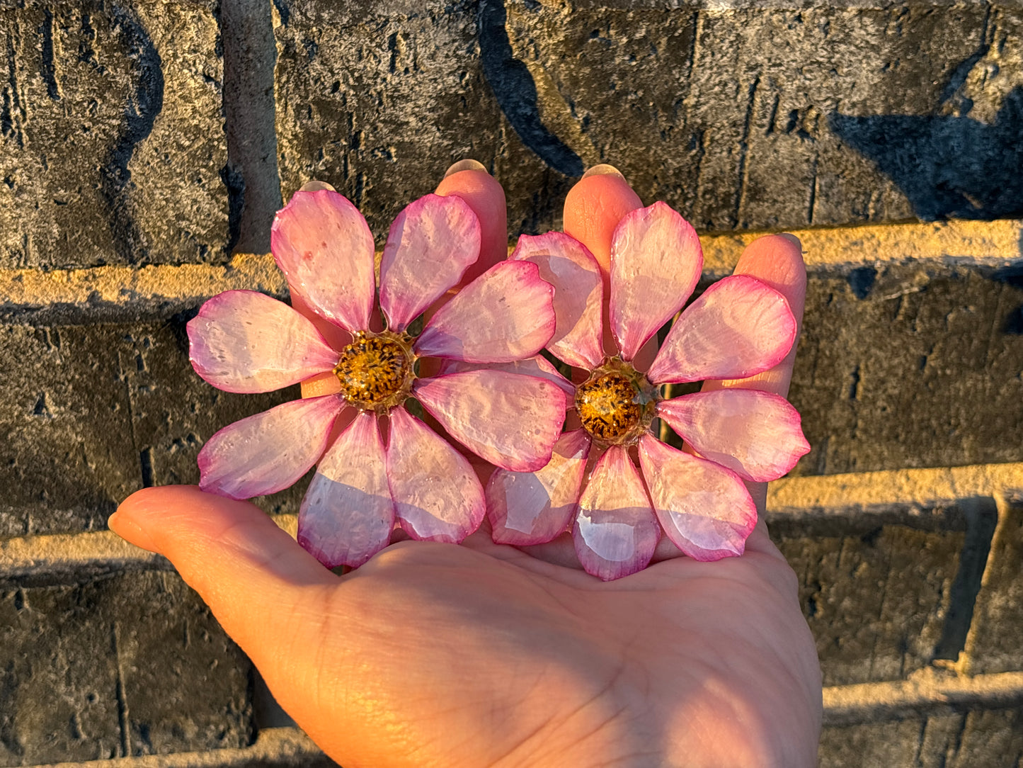 Cosmo Stud Earrings 🌿🌸