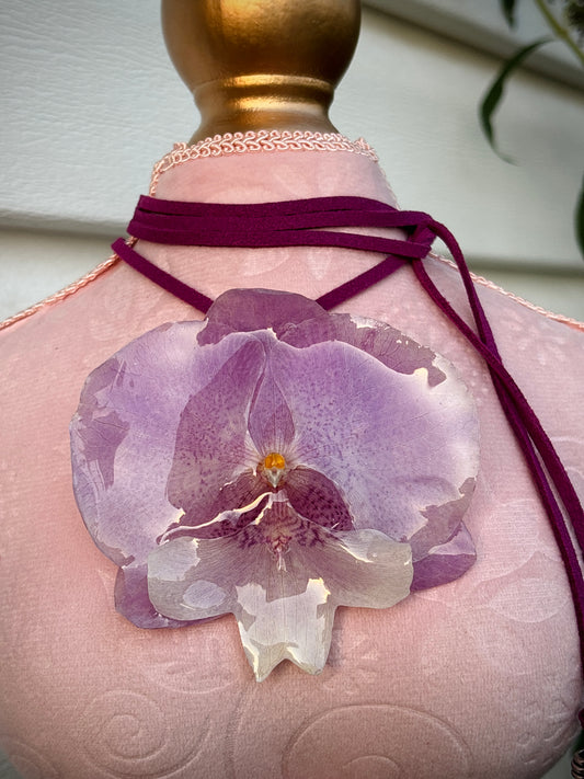 Orquídea Lila y Blanca