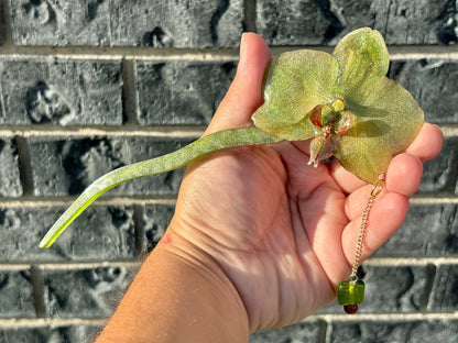Horquilla para cabello