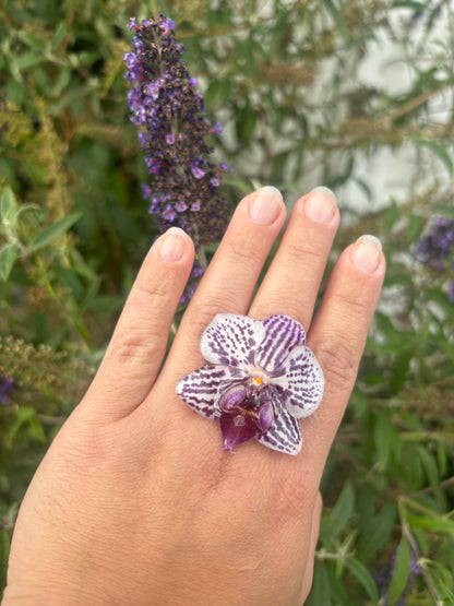 Anillo de Orquídea