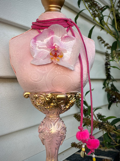 Orquídea Rosa y Blanca