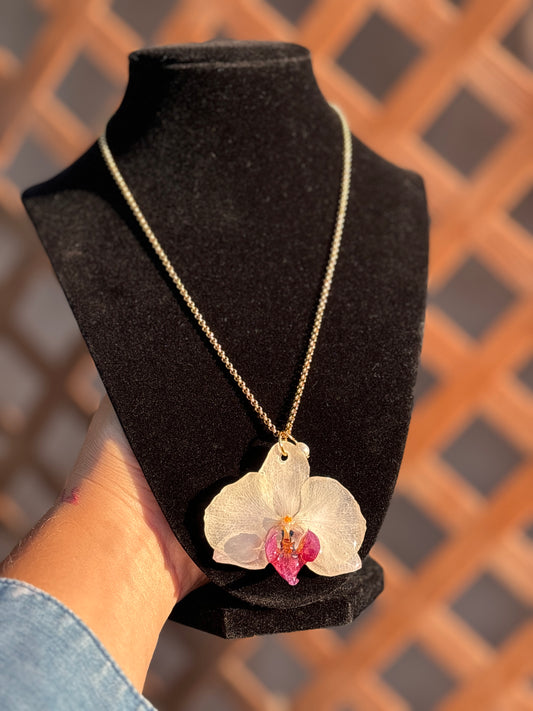 Orquídea blanca y violeta