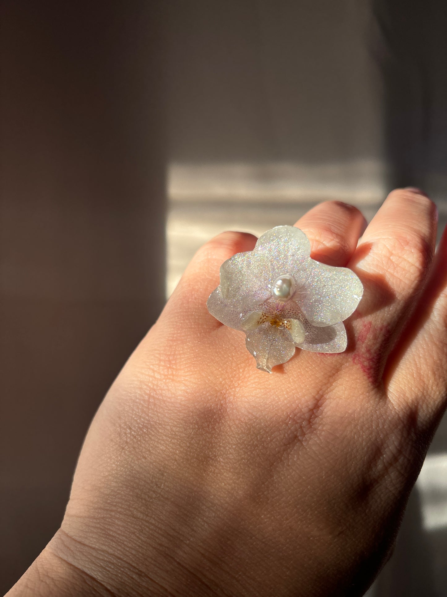 White Mini Orchid ✨