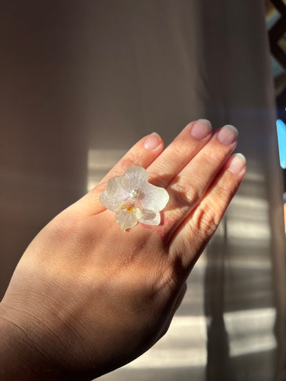 White Mini Orchid ✨