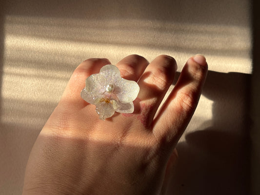 White Mini Orchid ✨