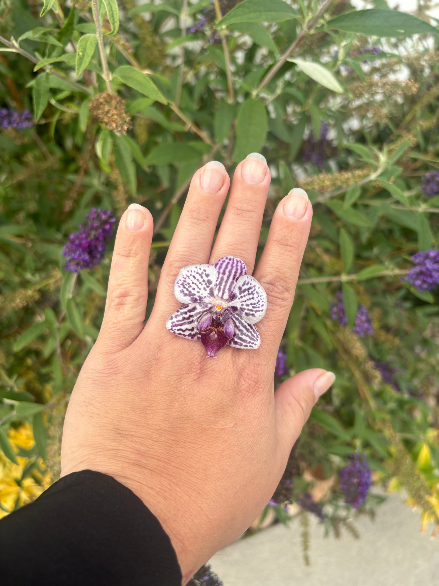 Anillo de Orquídea