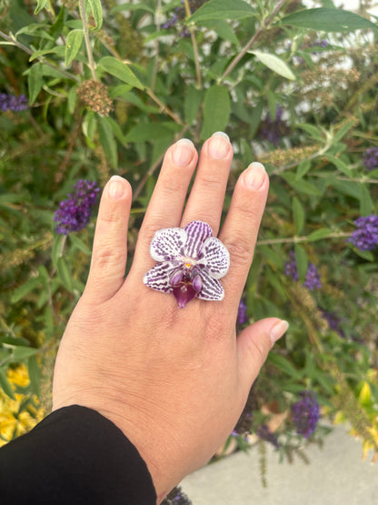 Anillo de Orquídea