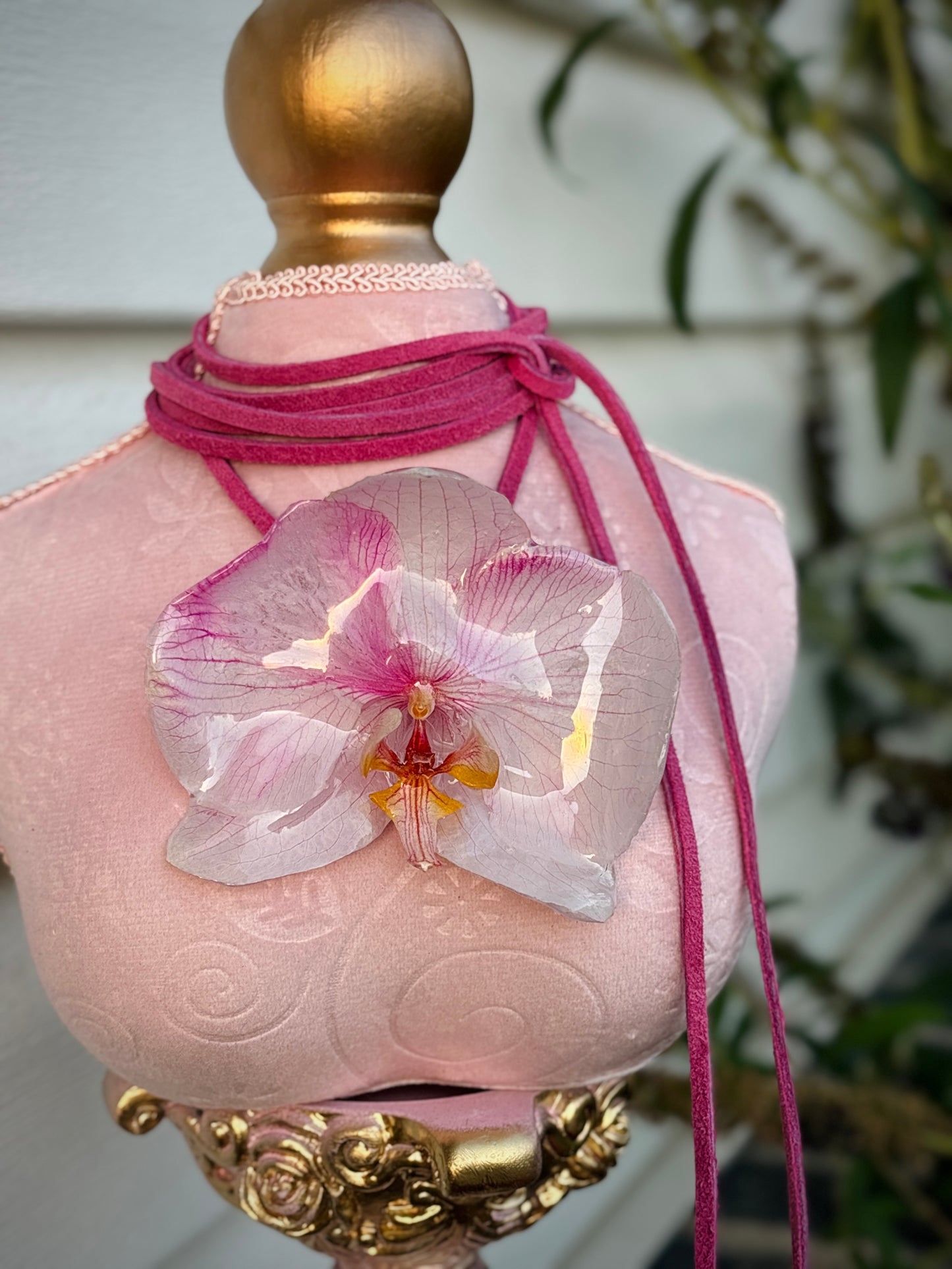 Orquídea Rosa y Blanca